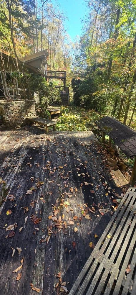 Wooden deck in forested area, surrounded by autumn leaves and greenery.