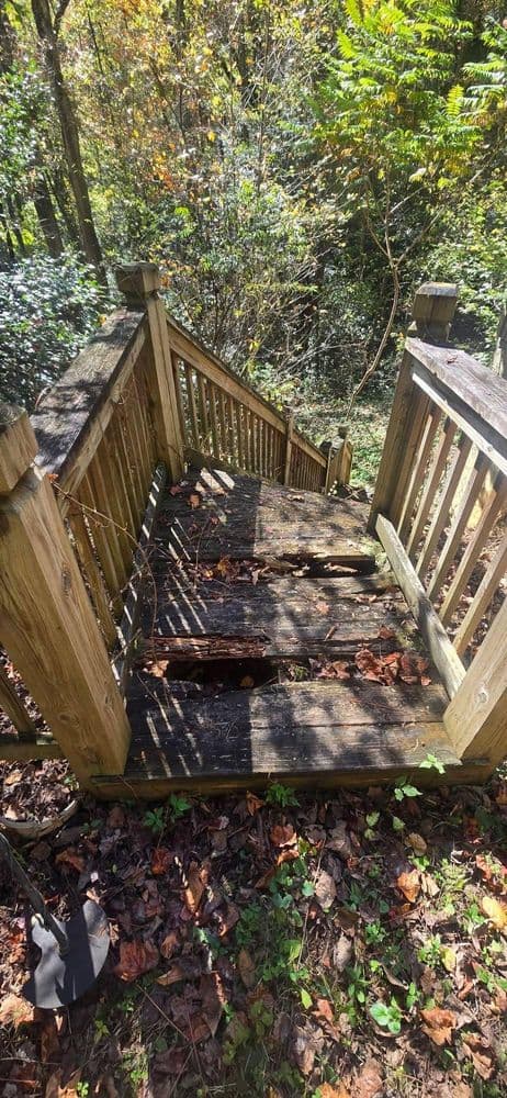 Deteriorating wooden stairs in a forest setting, surrounded by foliage and fallen leaves.