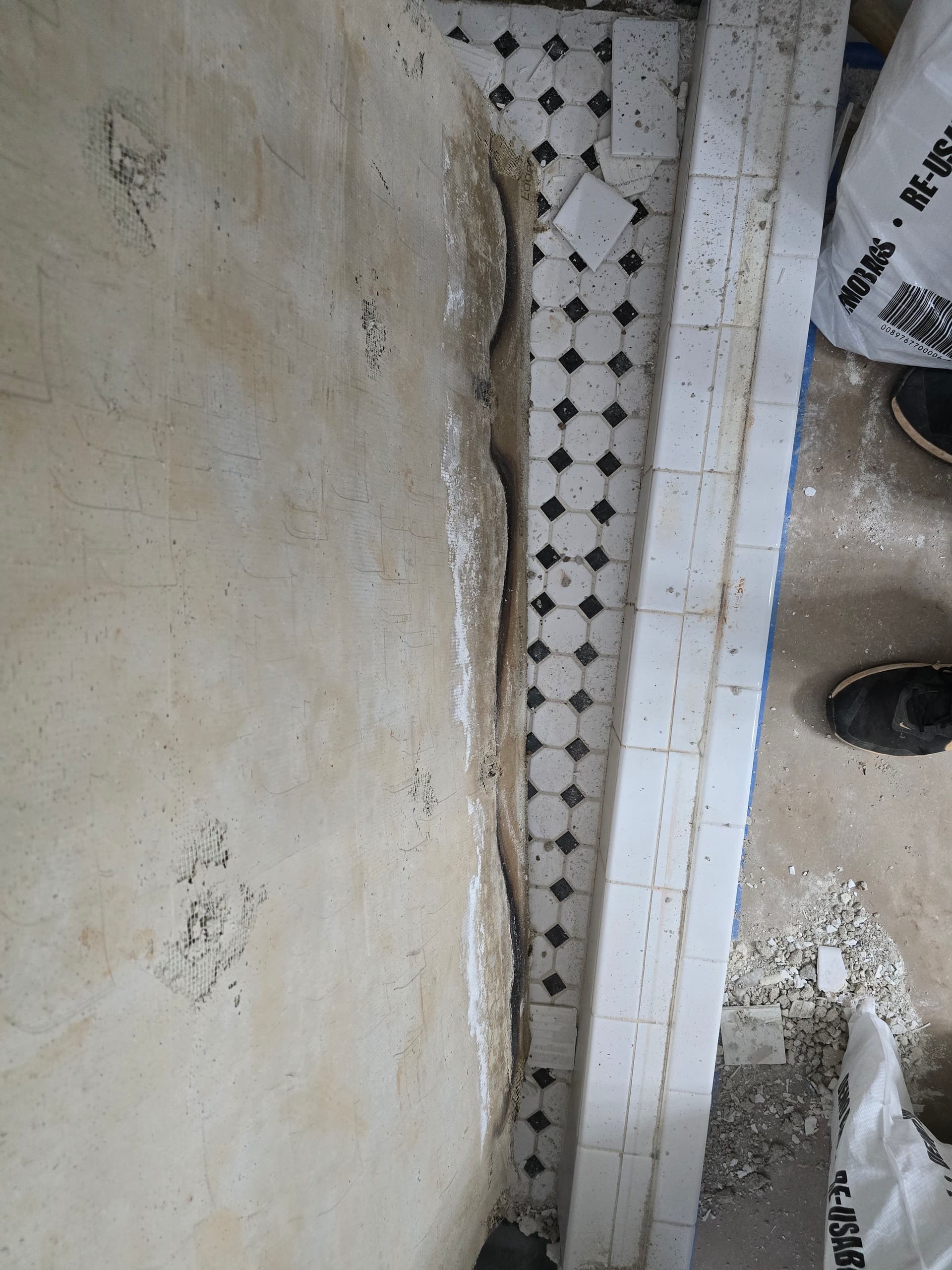 Gallery photos for Why This Shower Had to Come Down to the Studs: Image #7