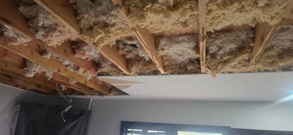 Damaged ceiling insulation and beams exposed due to roof leaks in home renovation project.