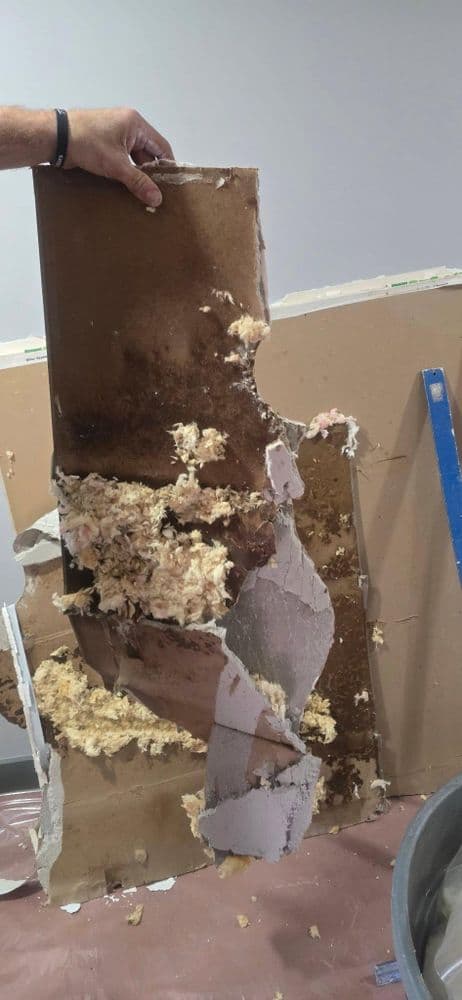 Damaged drywall showing mold and insulation during home renovation process.