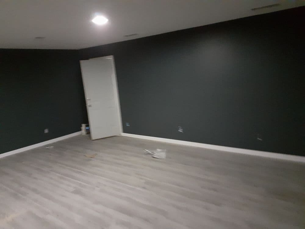 Empty room with dark green walls and light wood flooring, featuring a door and overhead lighting.