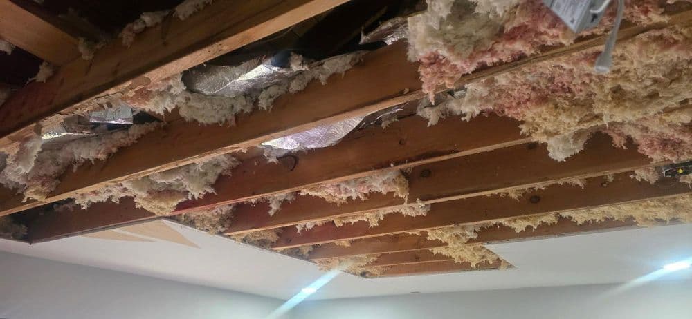 Exposed ceiling rafters with insulation, showing signs of potential damage and renovation needs.