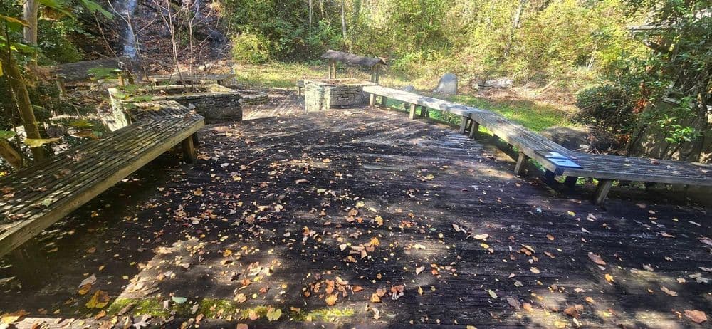 Wooden benches on a forest floor, surrounded by trees and scattered autumn leaves.