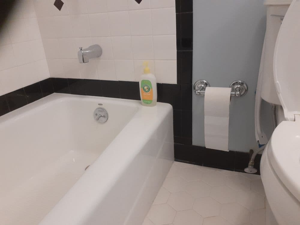 Modern bathroom featuring a white bathtub, showerhead, soap bottle, and toilet with toilet paper.