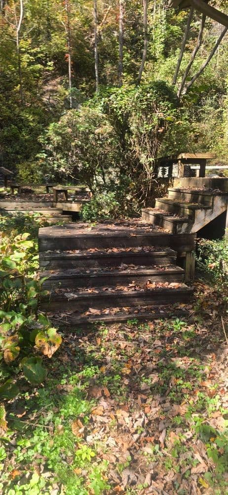Wooden steps surrounded by lush greenery and autumn leaves in a tranquil outdoor setting.