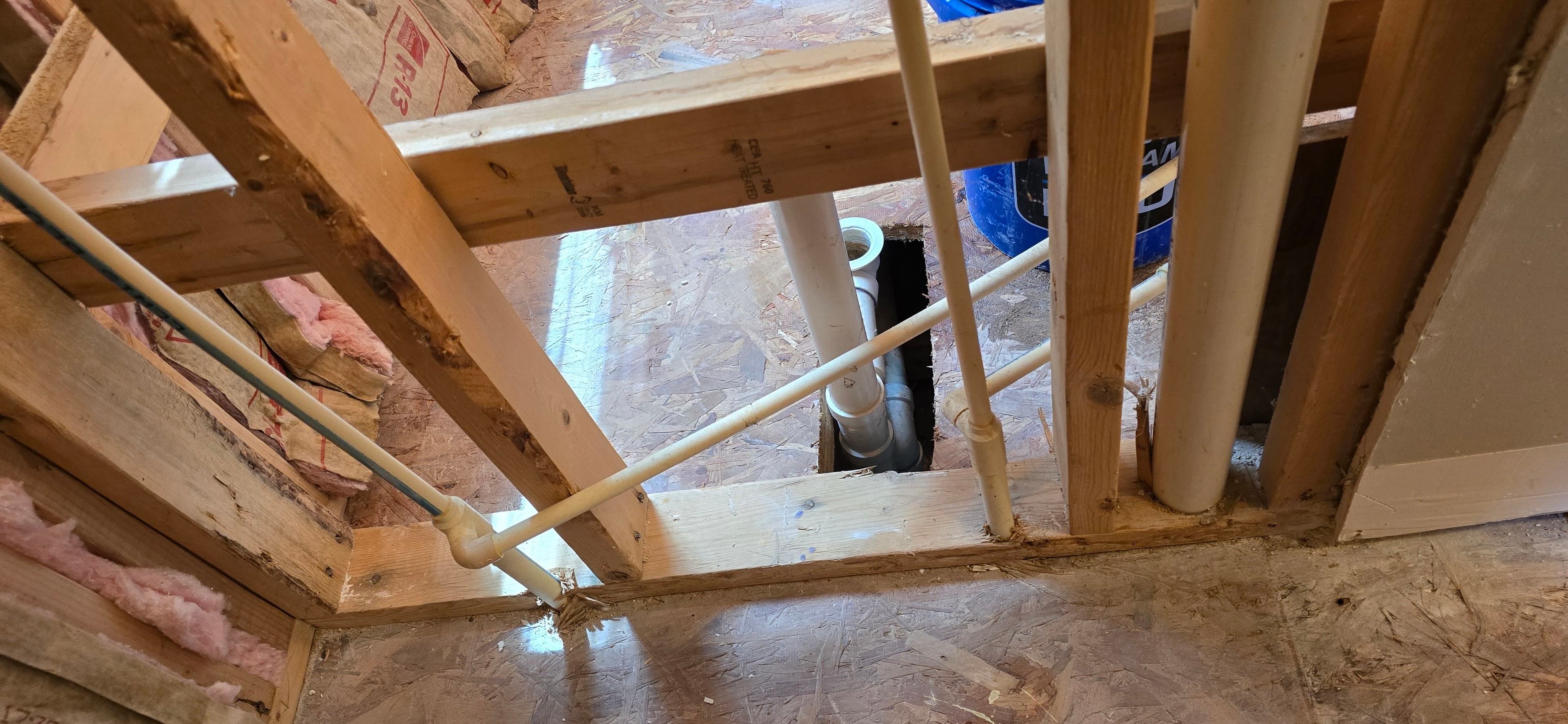 Project Full Bathroom Demo Down to the Bones - No Shortcuts image